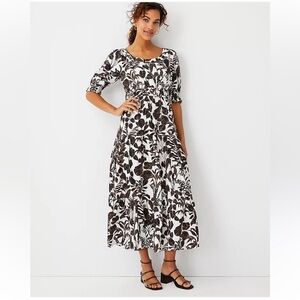 Ann Taylor tall foliage Floral Black and White midi dress